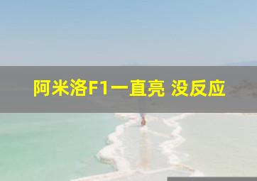 阿米洛F1一直亮 没反应